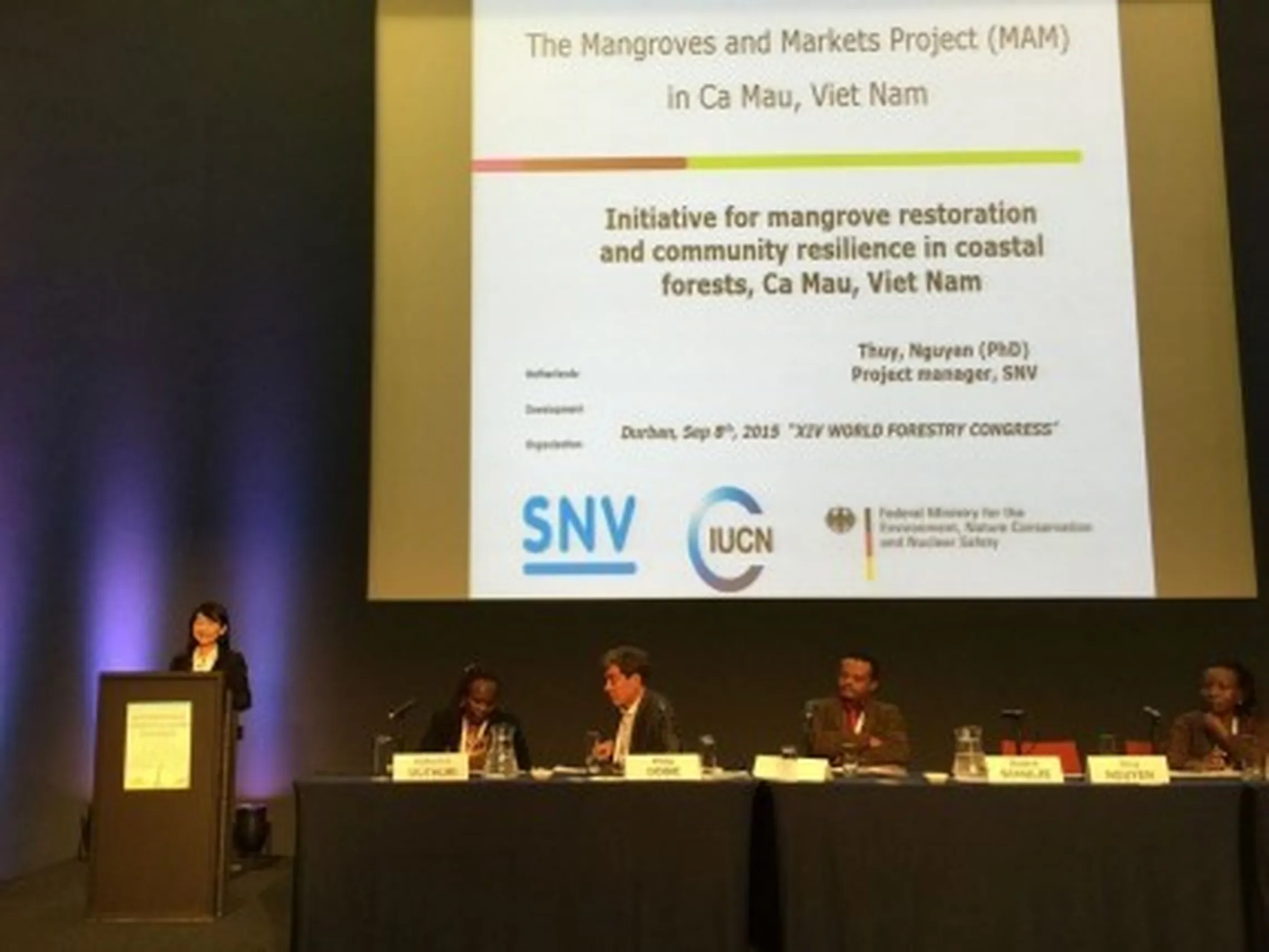 Sharing experiences on mangrove conservation at the XIV World Forestry Congress