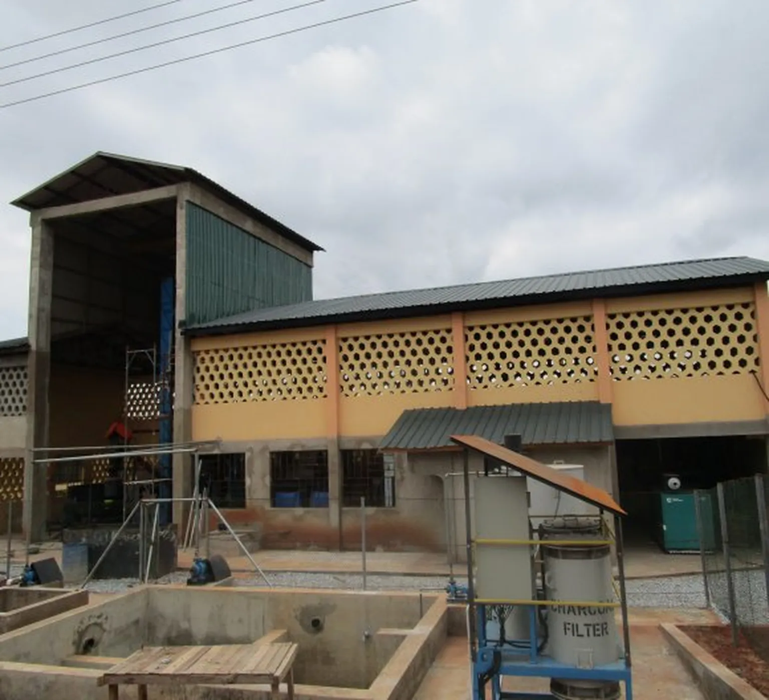 cassava