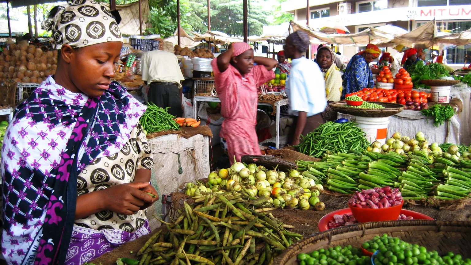 Join our horticulture trade-mission to Kenya