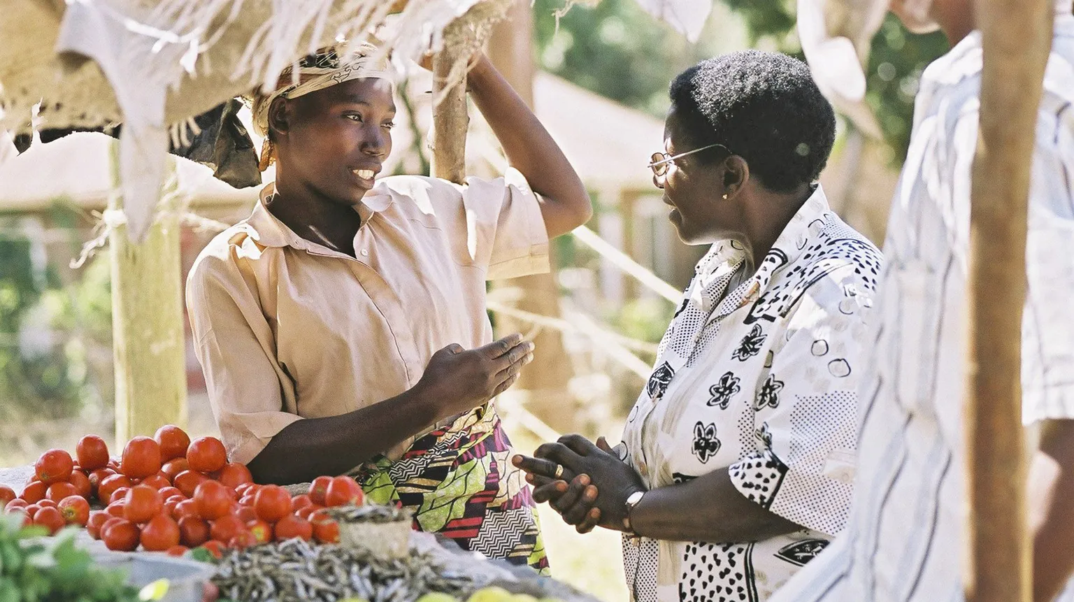 Two women converse at a market stall with tomatoes and dried fish, under a shaded canopy, on a sunny day.