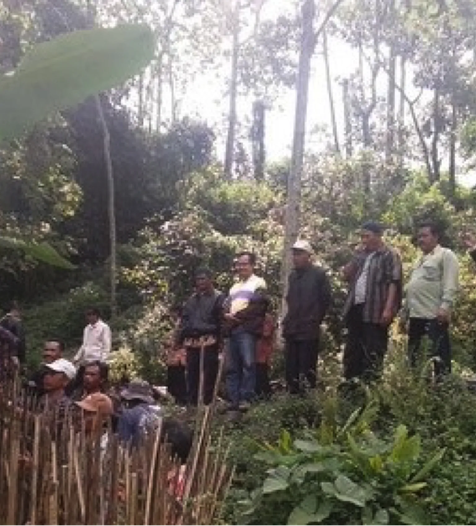 SNV
