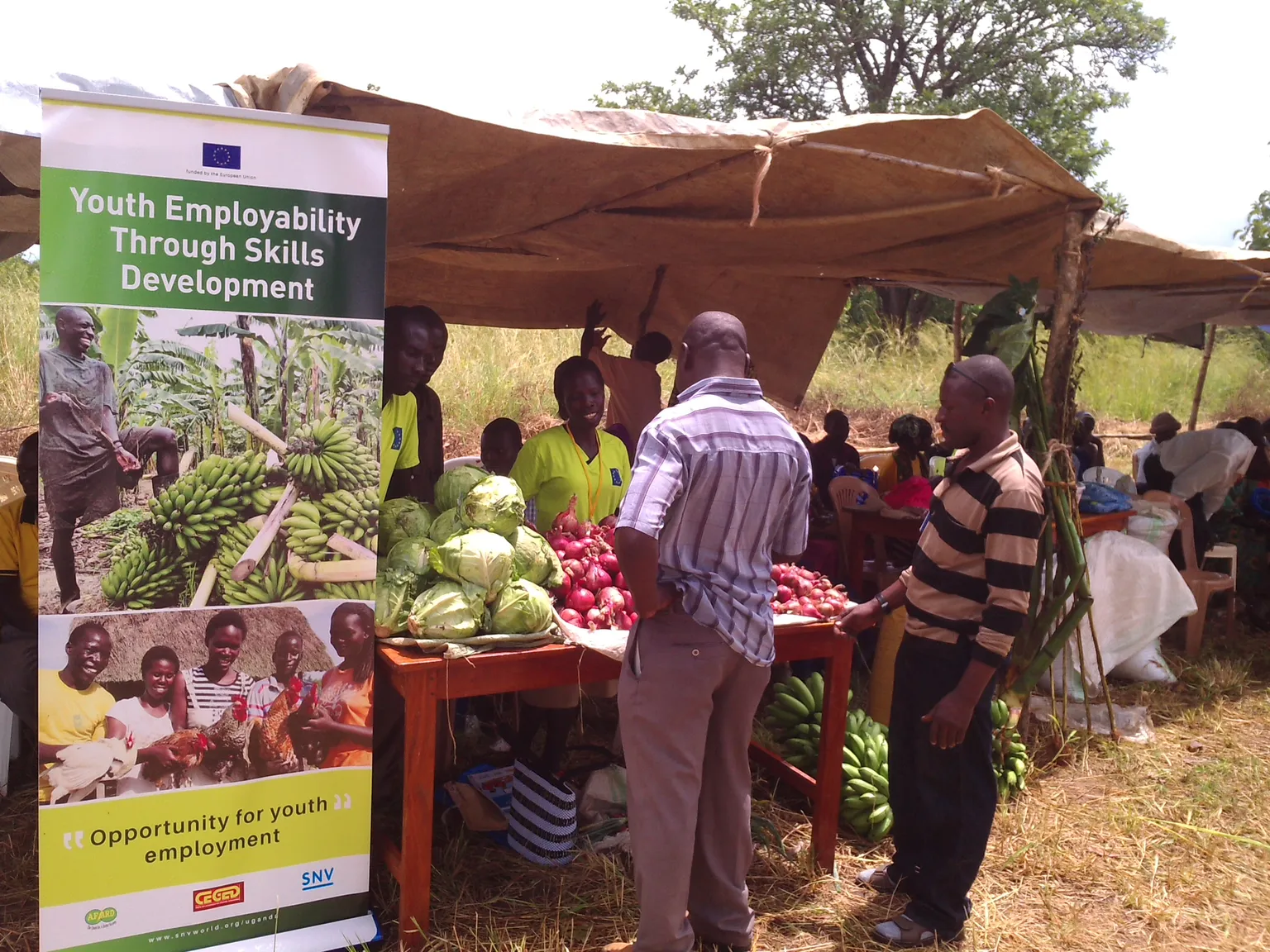 SNV project in Uganda creates jobs for 4,300 youth
