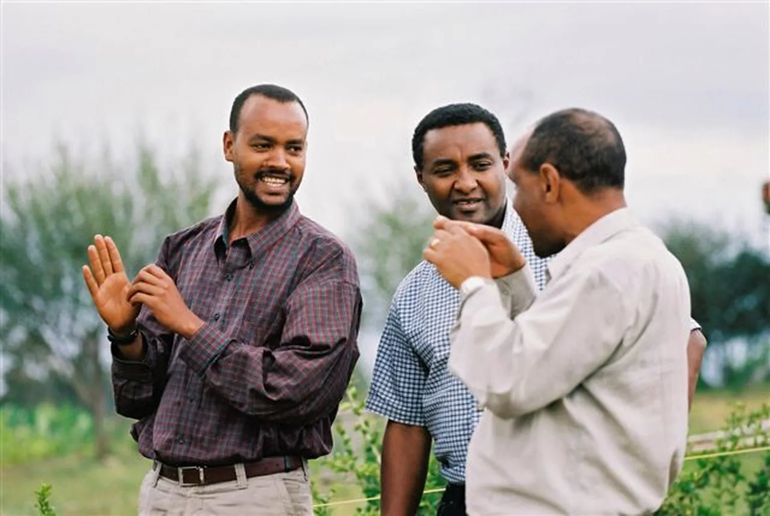 Generating exposure to international sesame markets