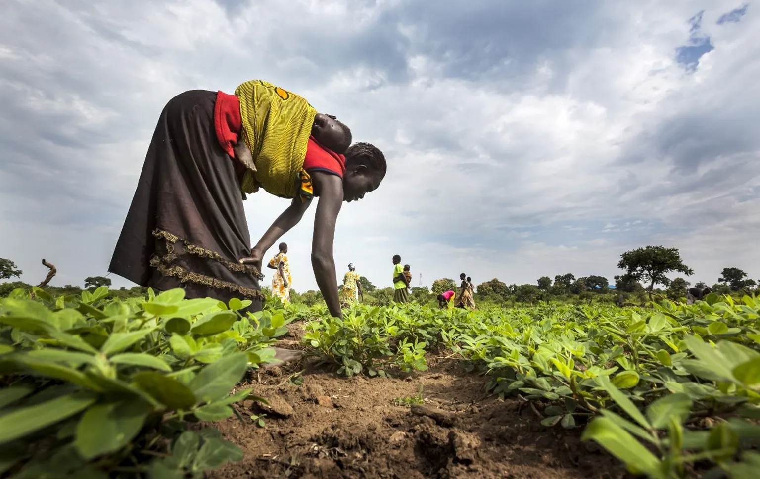 Woman working in field