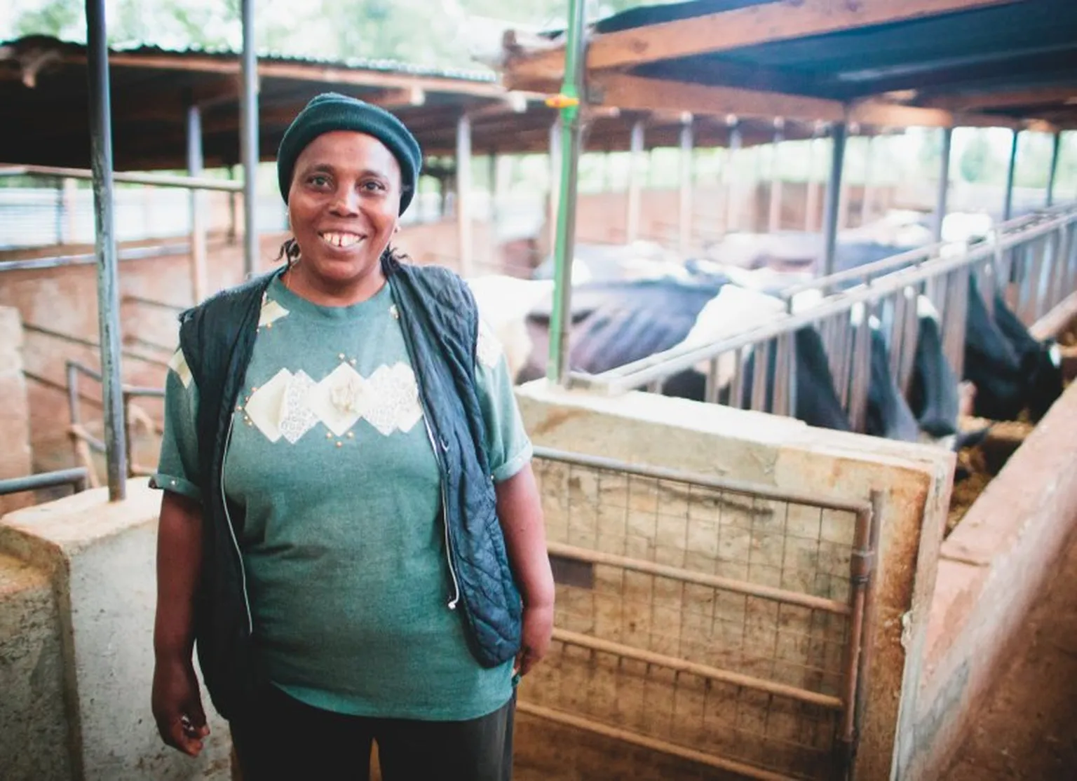Now that land is becoming more scarce, farmers started to keep cows in stables