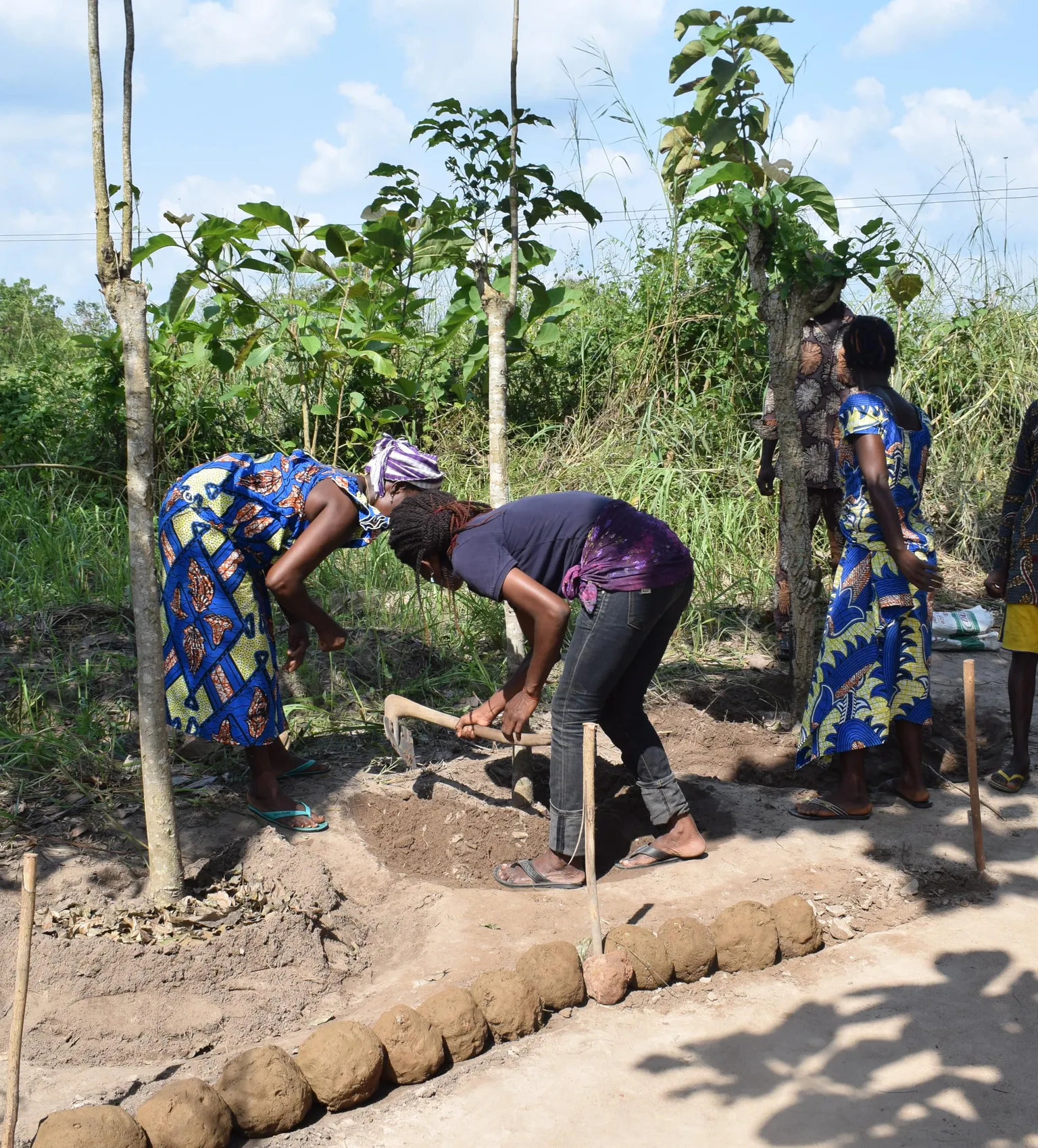 benin omidelta