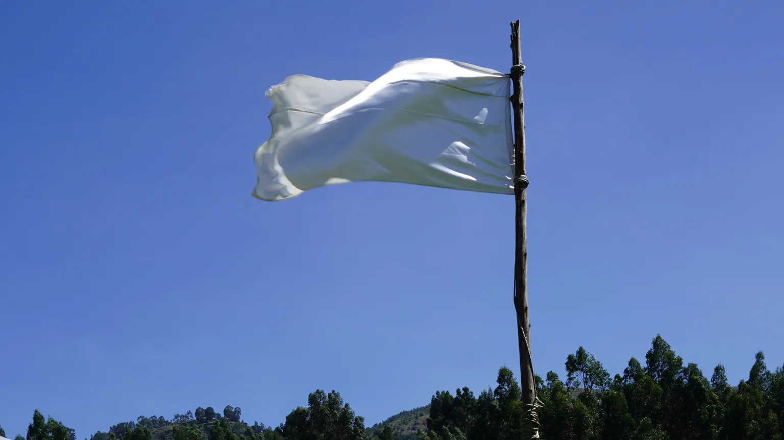flag