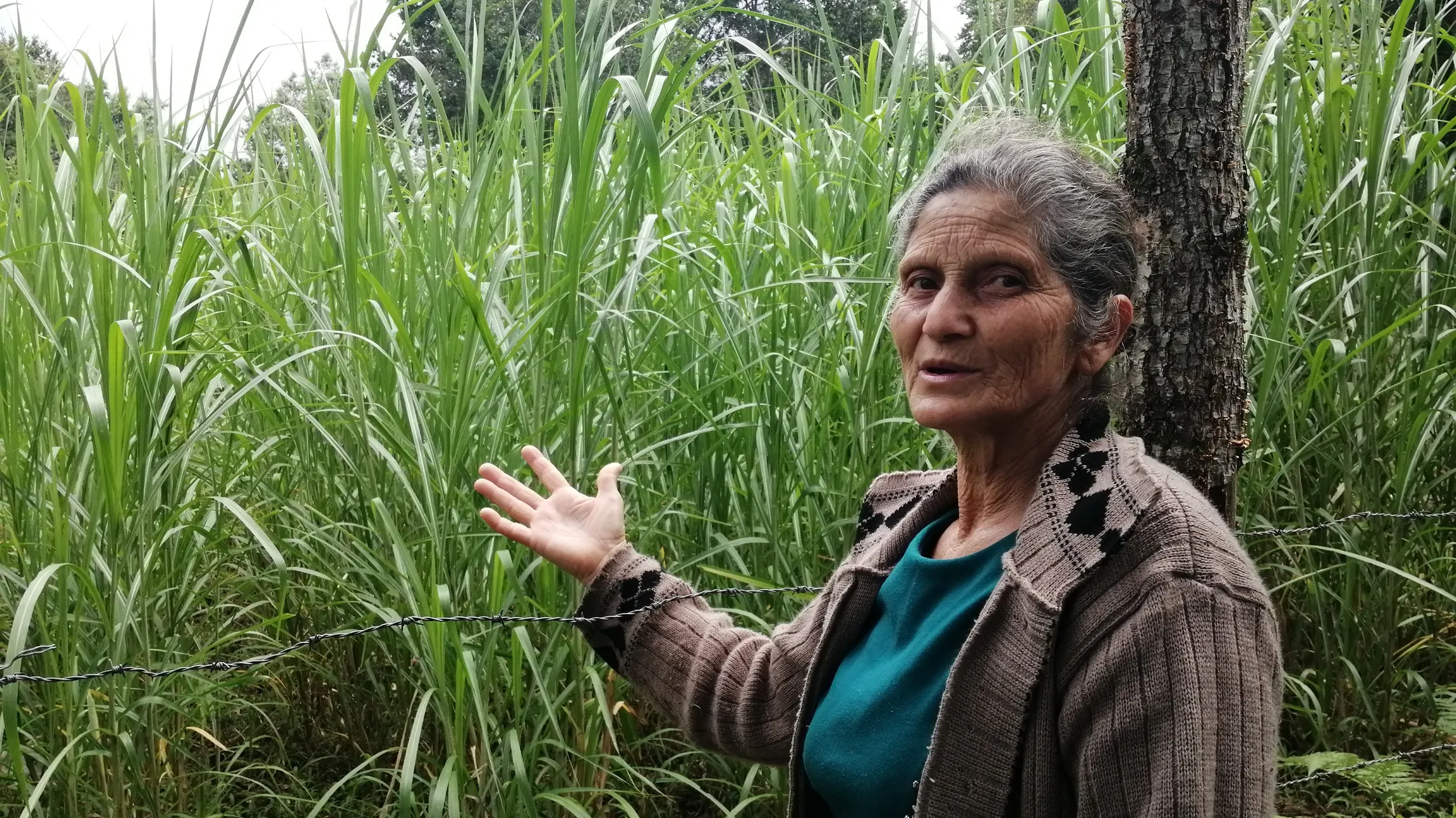 Maria Pasto shows her crops 
