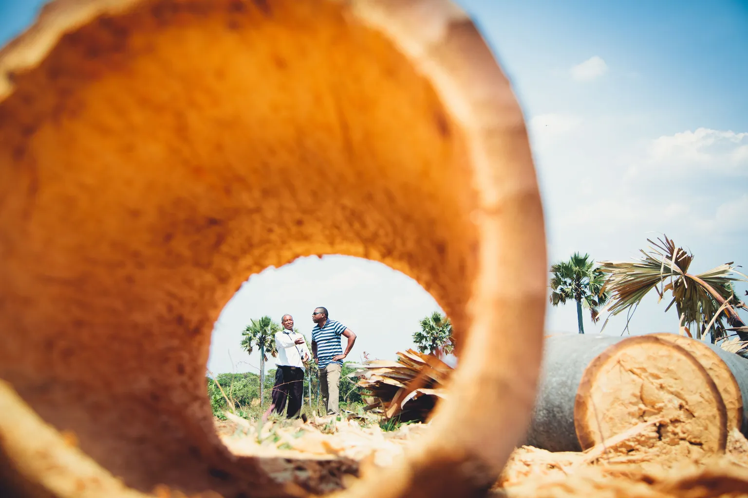 Africa Trade Fund approves funding for SNV to implement new apiculture project in Zambia